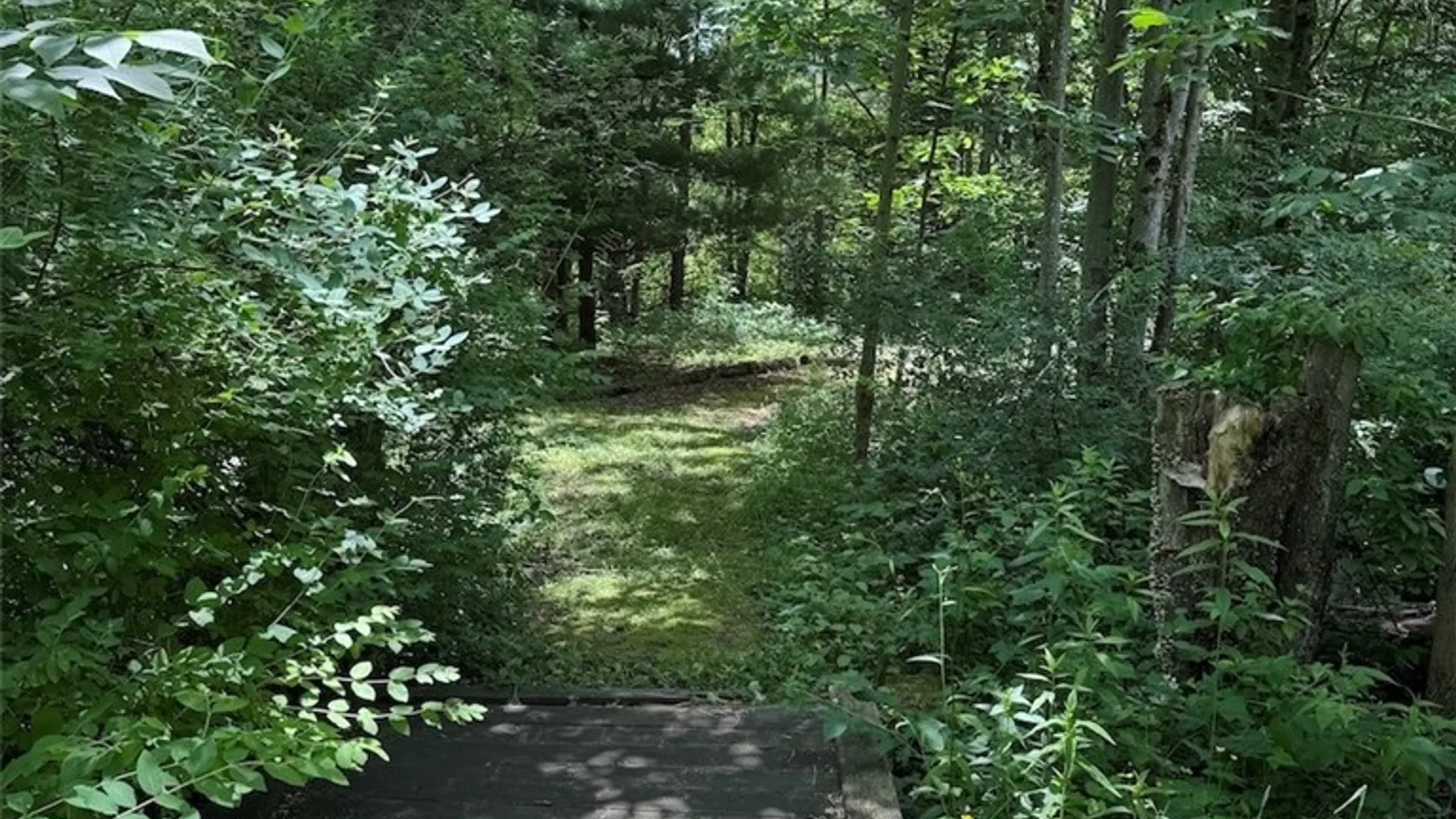 Property at 6227 Fritz Road, Belfast, NY 14739 39