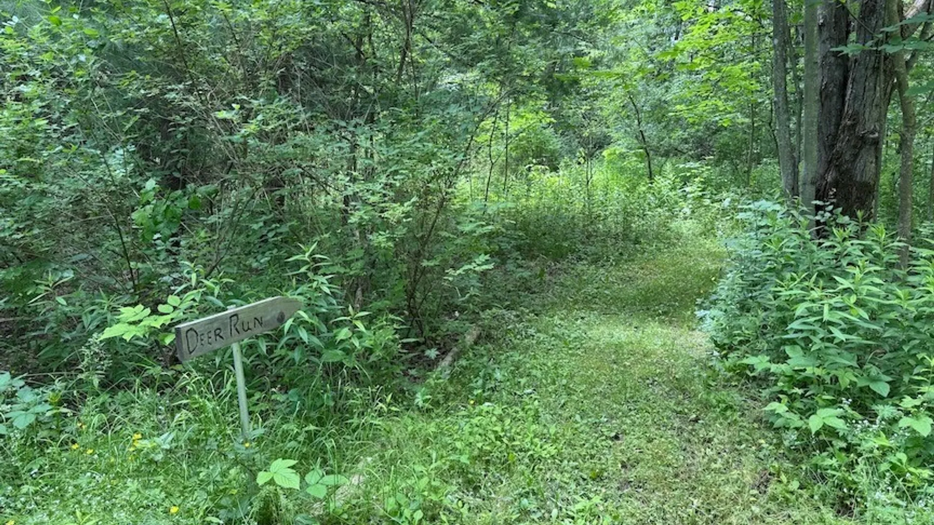 Property at 6227 Fritz Road, Belfast, NY 14739 40