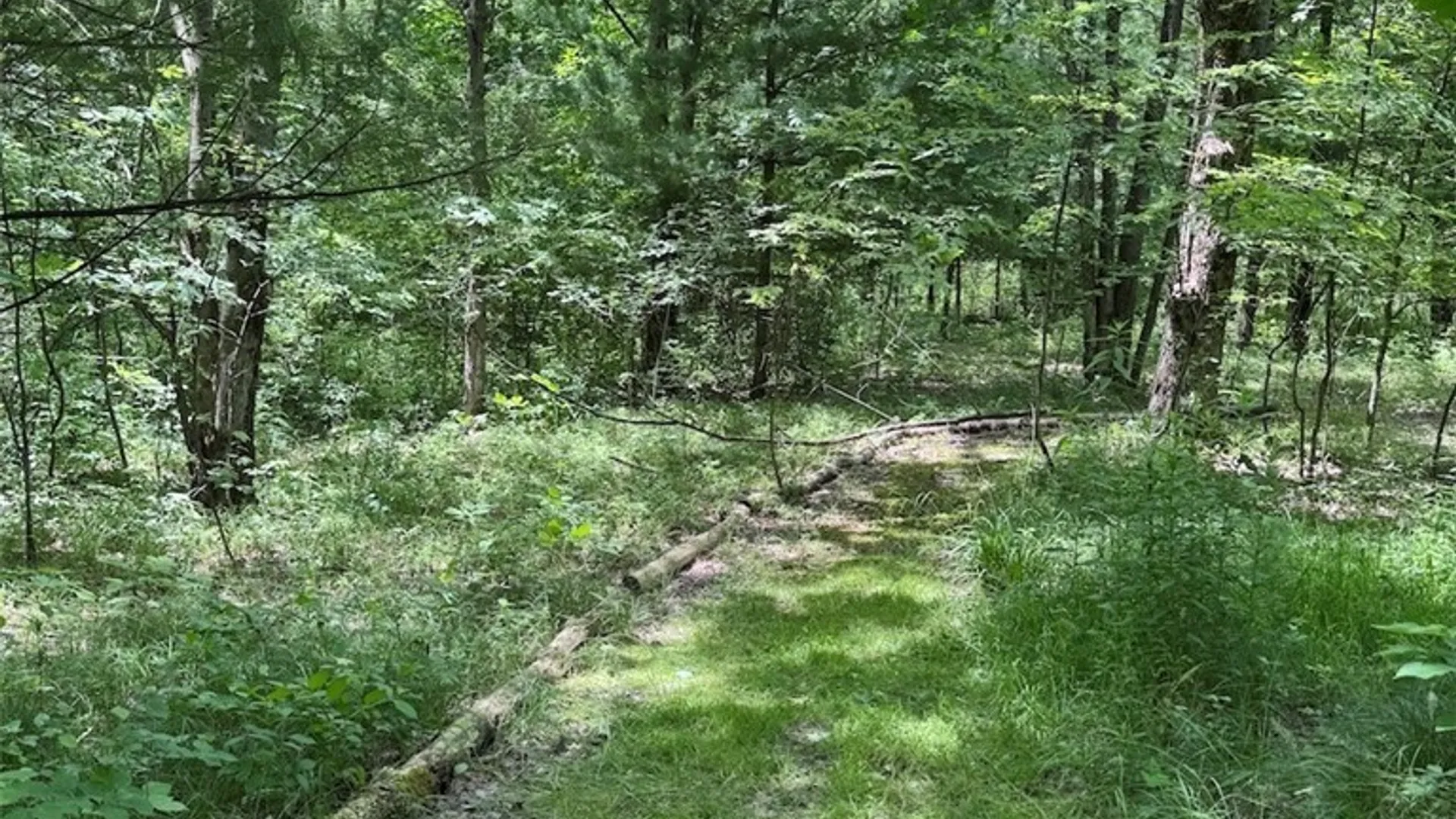 Property at 6227 Fritz Road, Belfast, NY 14739 42