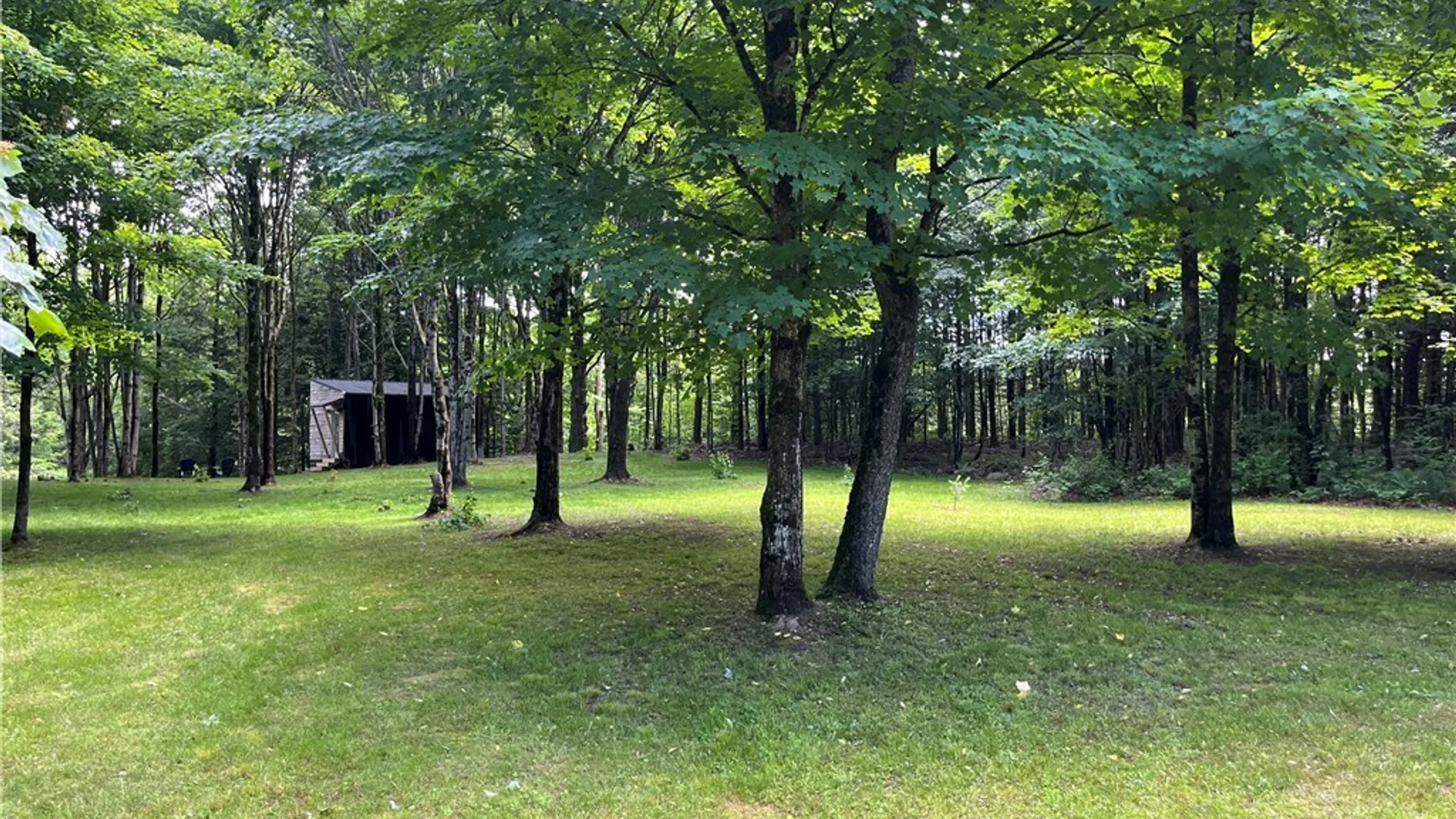 Property at 52 Mc Caw Road, Redfield, NY 13437 14