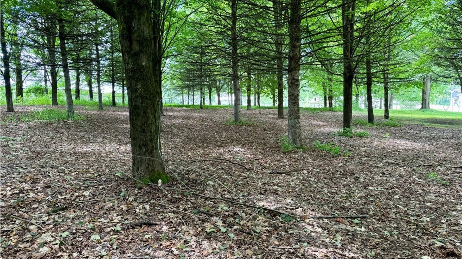 Property at Vida Drive, Williamstown, NY 13493 4