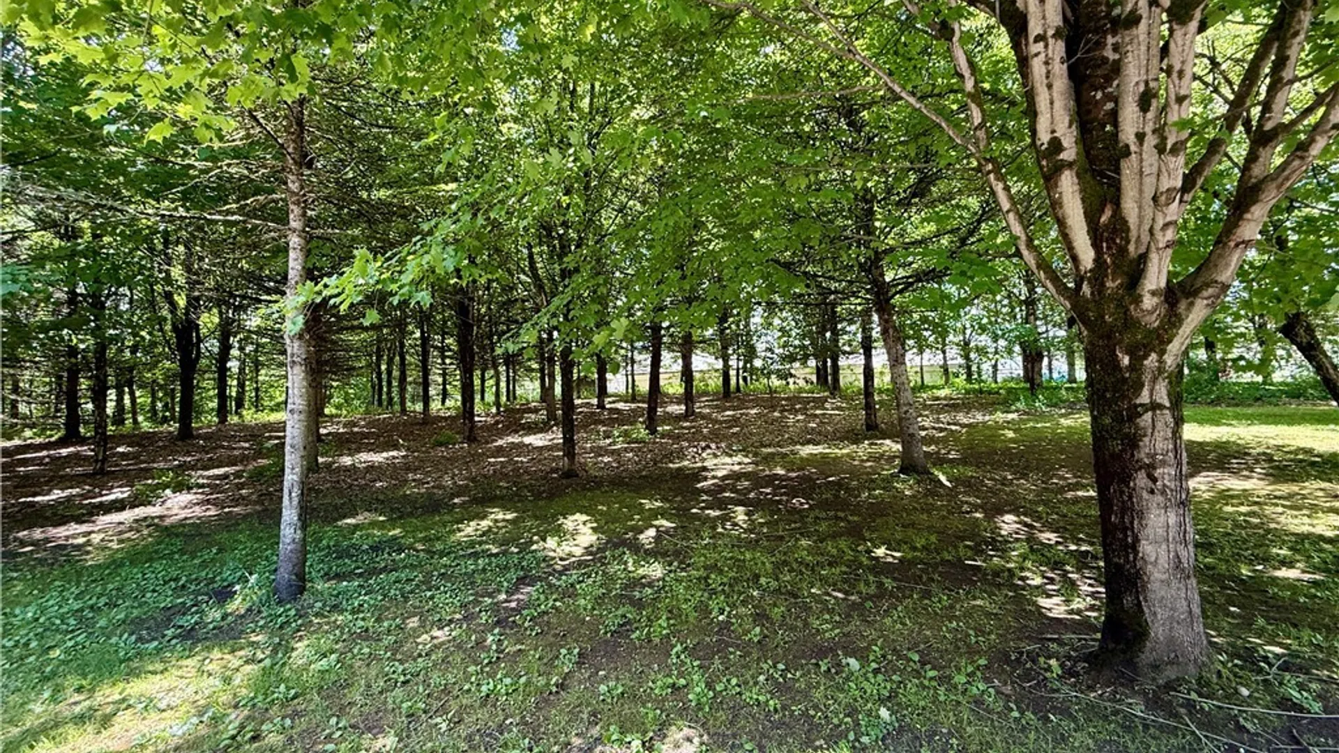 Property at Vida Drive, Williamstown, NY 13493 9