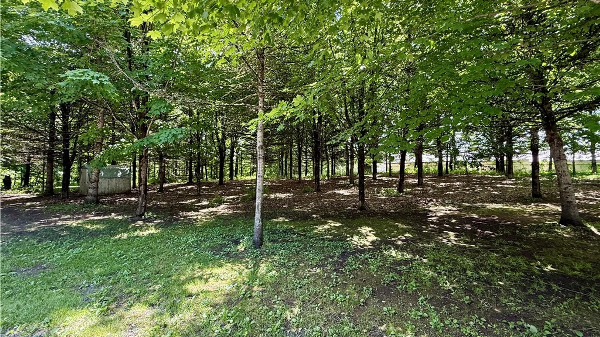 Property at Vida Drive, Williamstown, NY 13493 10