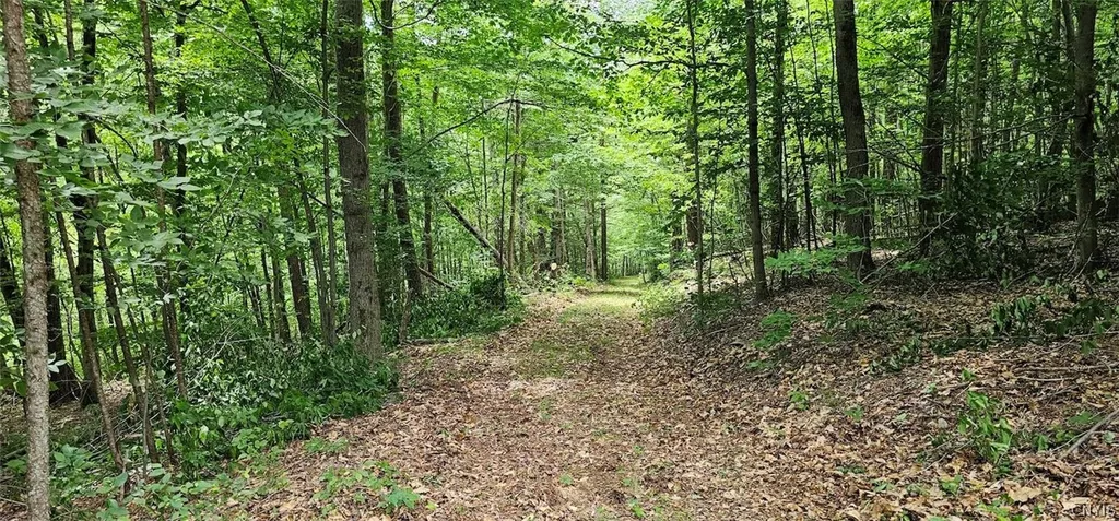 Property at Cr-16, Orange, NY 14812