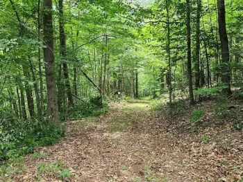 Property at Cr-16, Orange, NY 14812