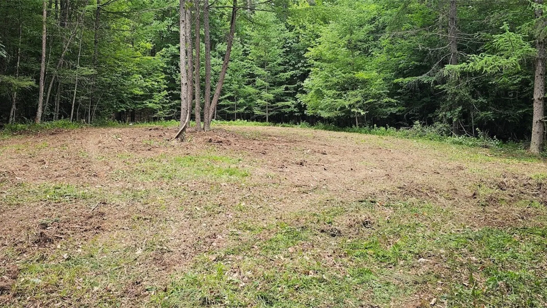 Property at Cr-16, Orange, NY 14812 3