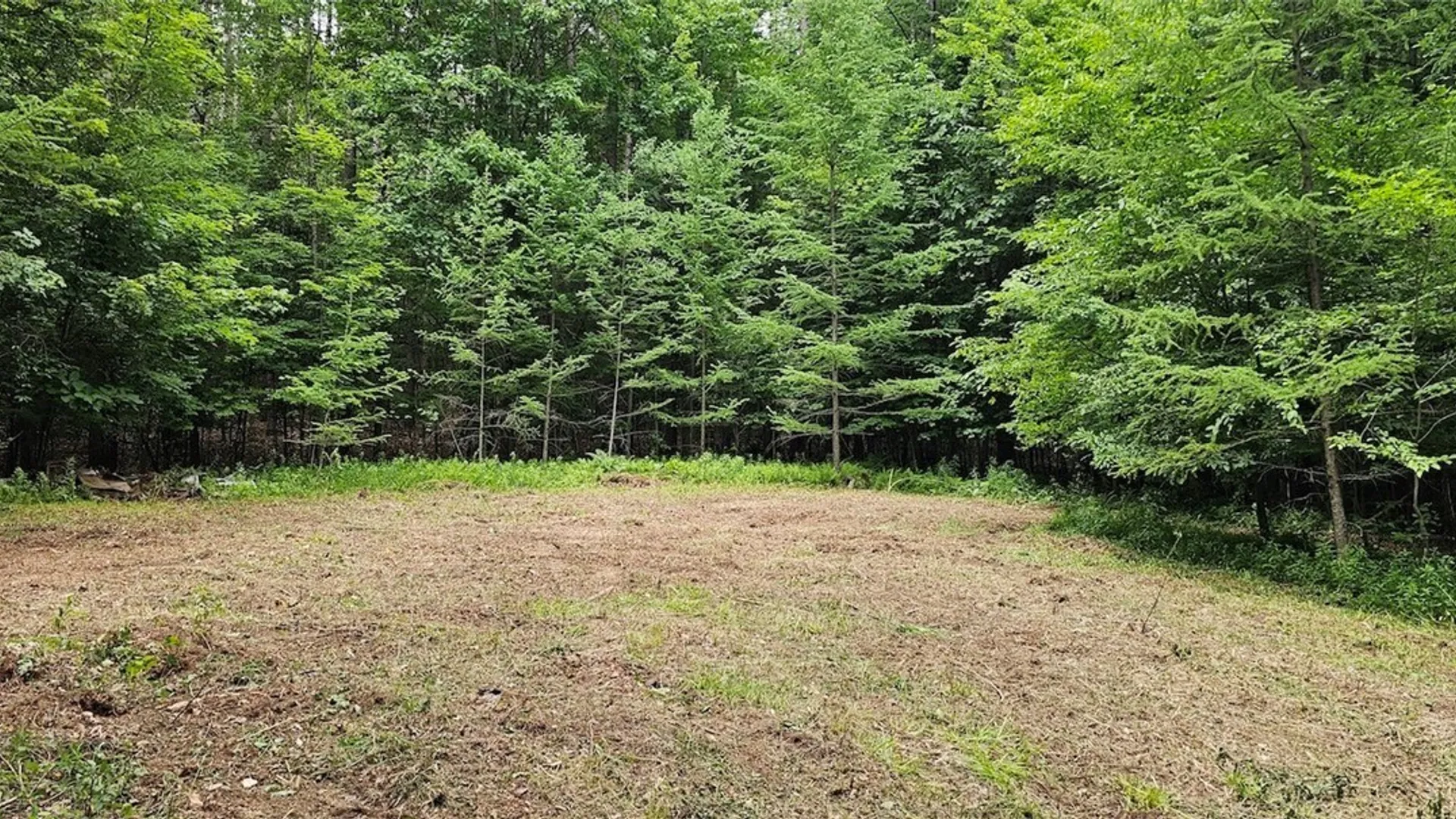 Property at Cr-16, Orange, NY 14812 4
