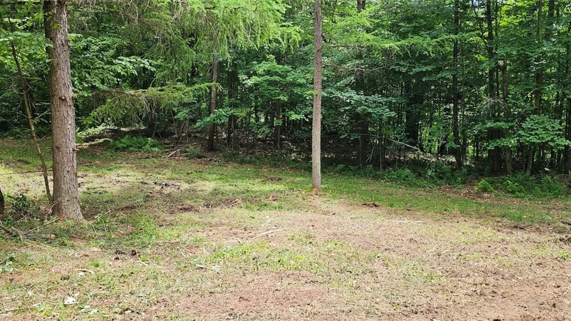 Property at Cr-16, Orange, NY 14812 5