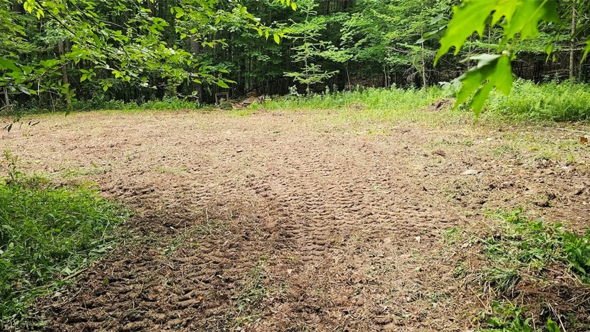 Property at Cr-16, Orange, NY 14812 6