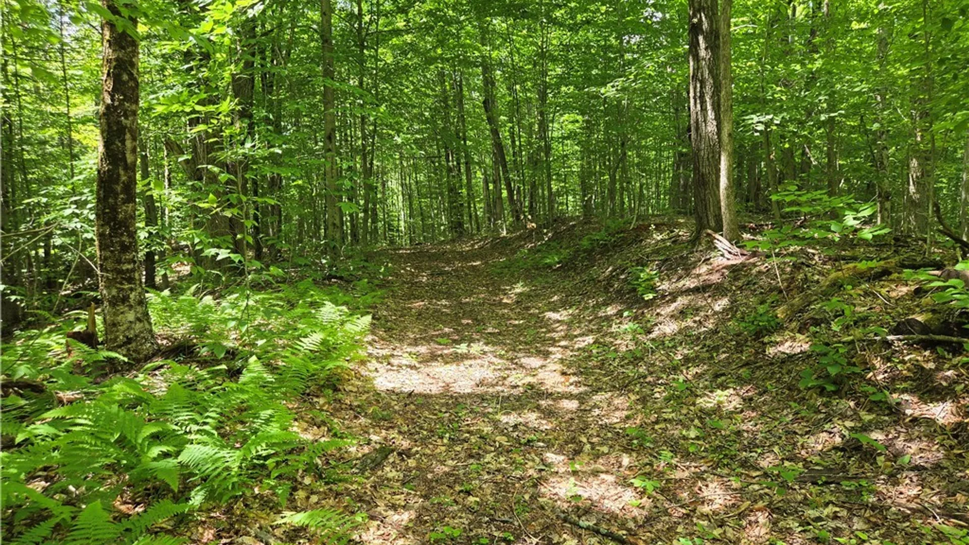Property at Moose River Road, Lyonsdale, NY 13433 3