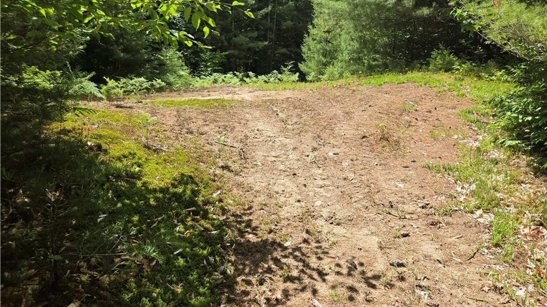 Property at Moose River Road, Lyonsdale, NY 13433 6