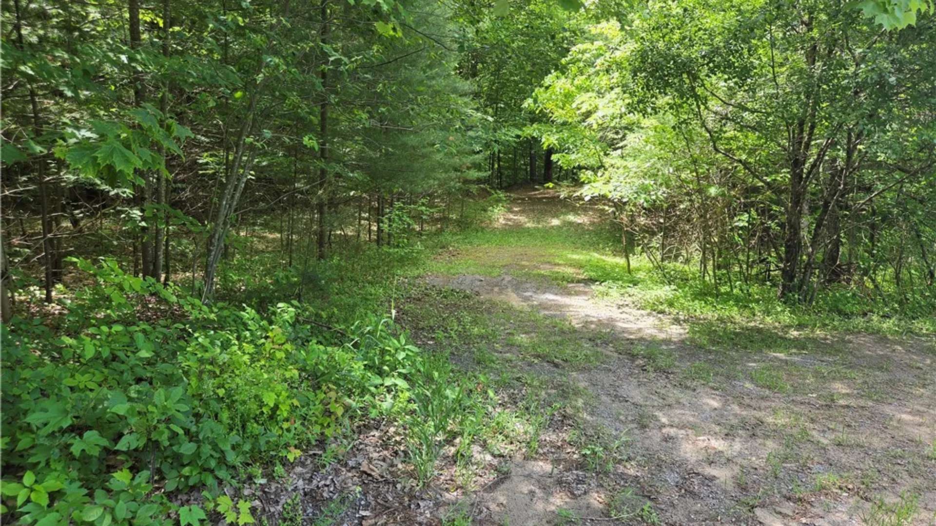 Property at Moose River Road, Lyonsdale, NY 13433 10