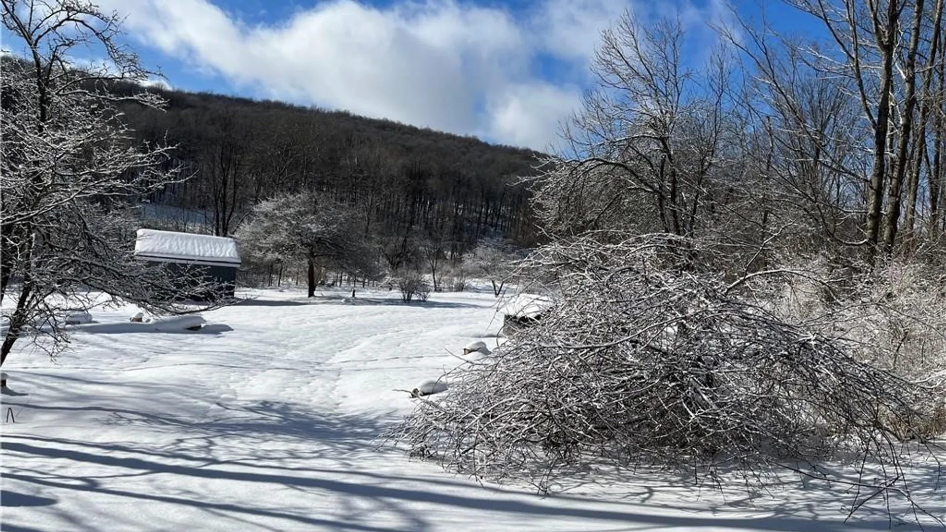 Property at 6313 E Homer Baltimore Road, Preble, NY 13077 31