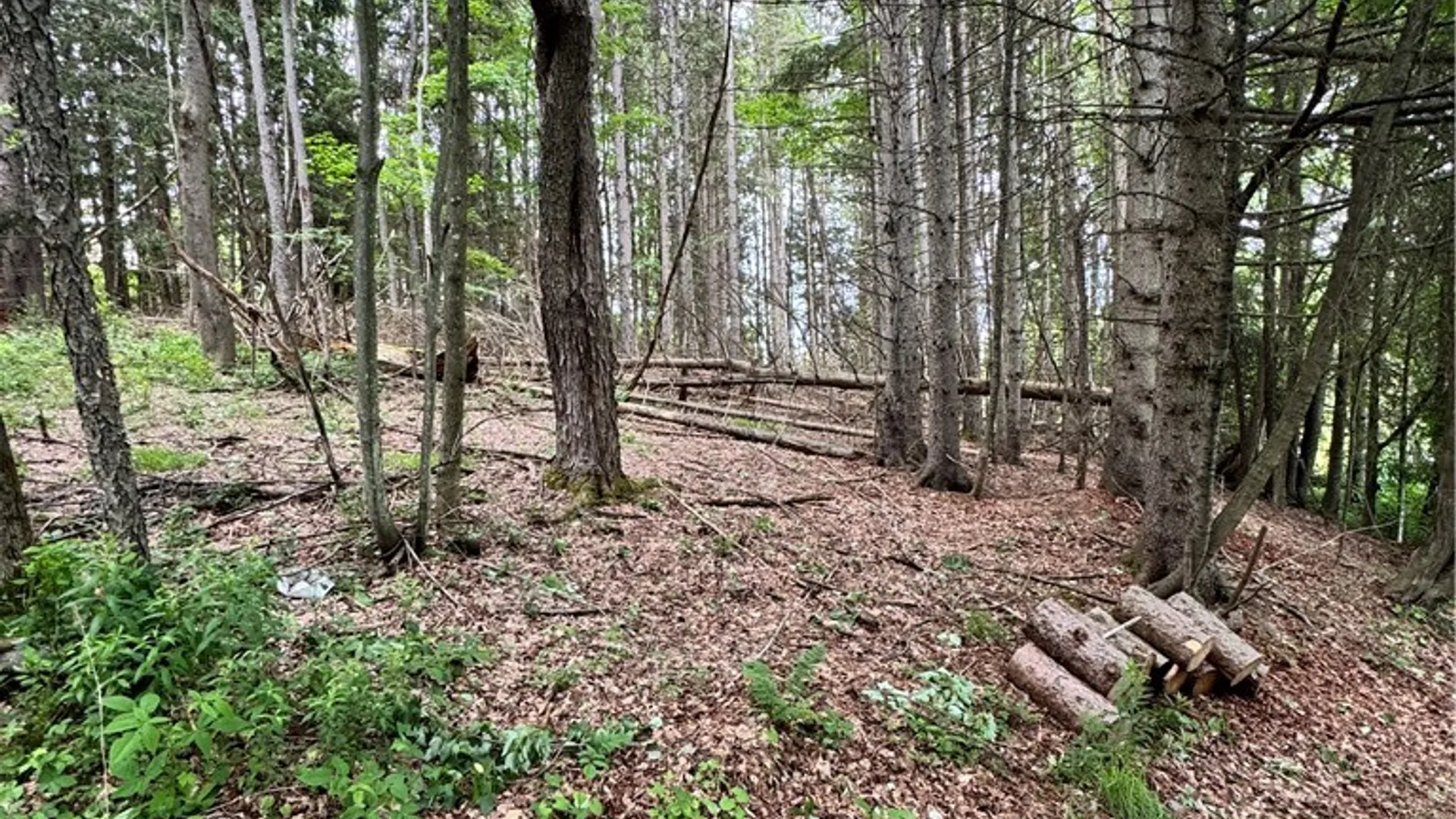 Property at 37 Harper Street, Harpersfield, NY 12167 43
