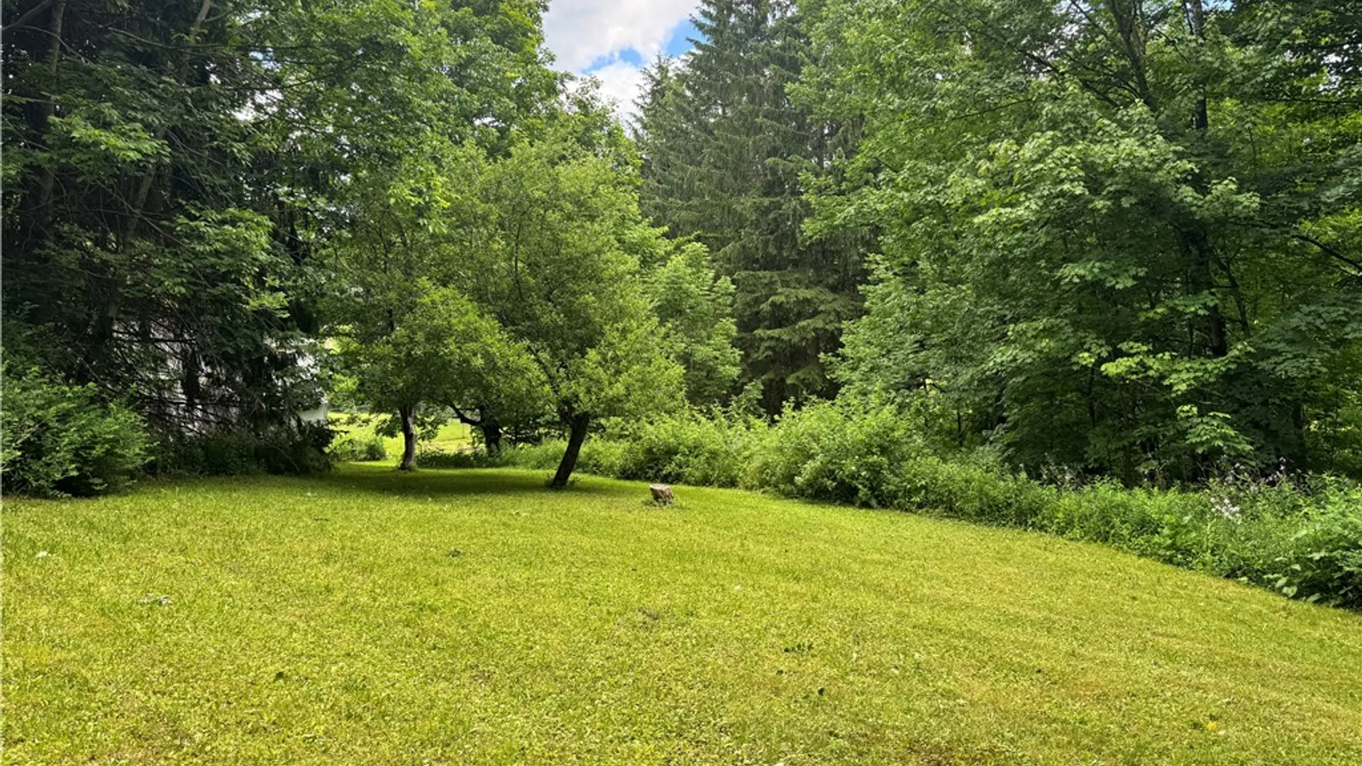 Property at 37 Harper Street, Harpersfield, NY 12167 42