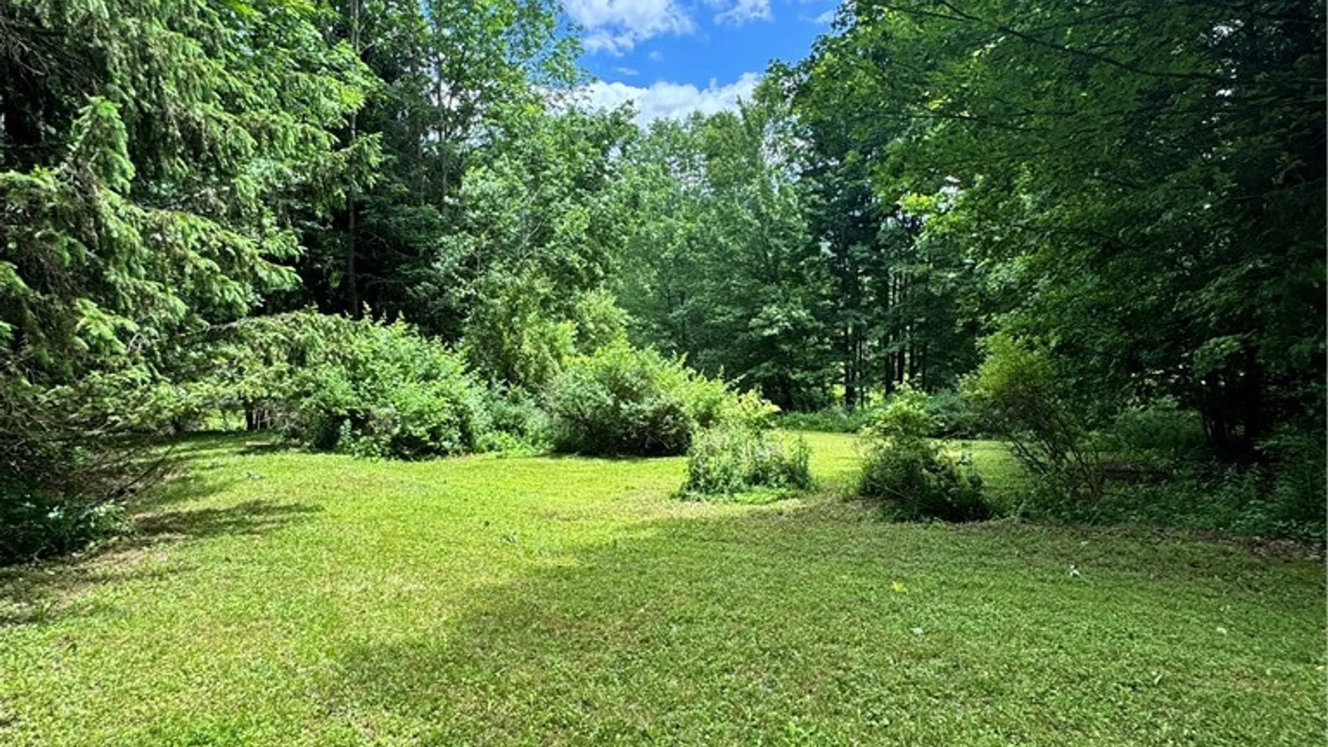 Property at 37 Harper Street, Harpersfield, NY 12167 13