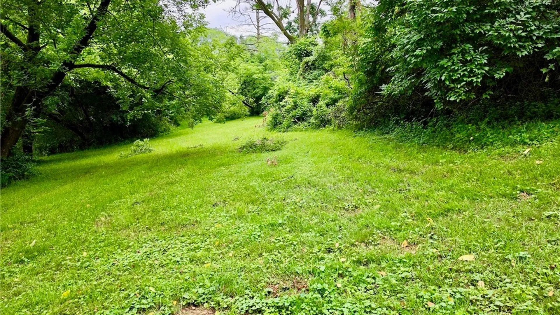 Property at 307 Demong Dr, Syracuse, NY 13214 42