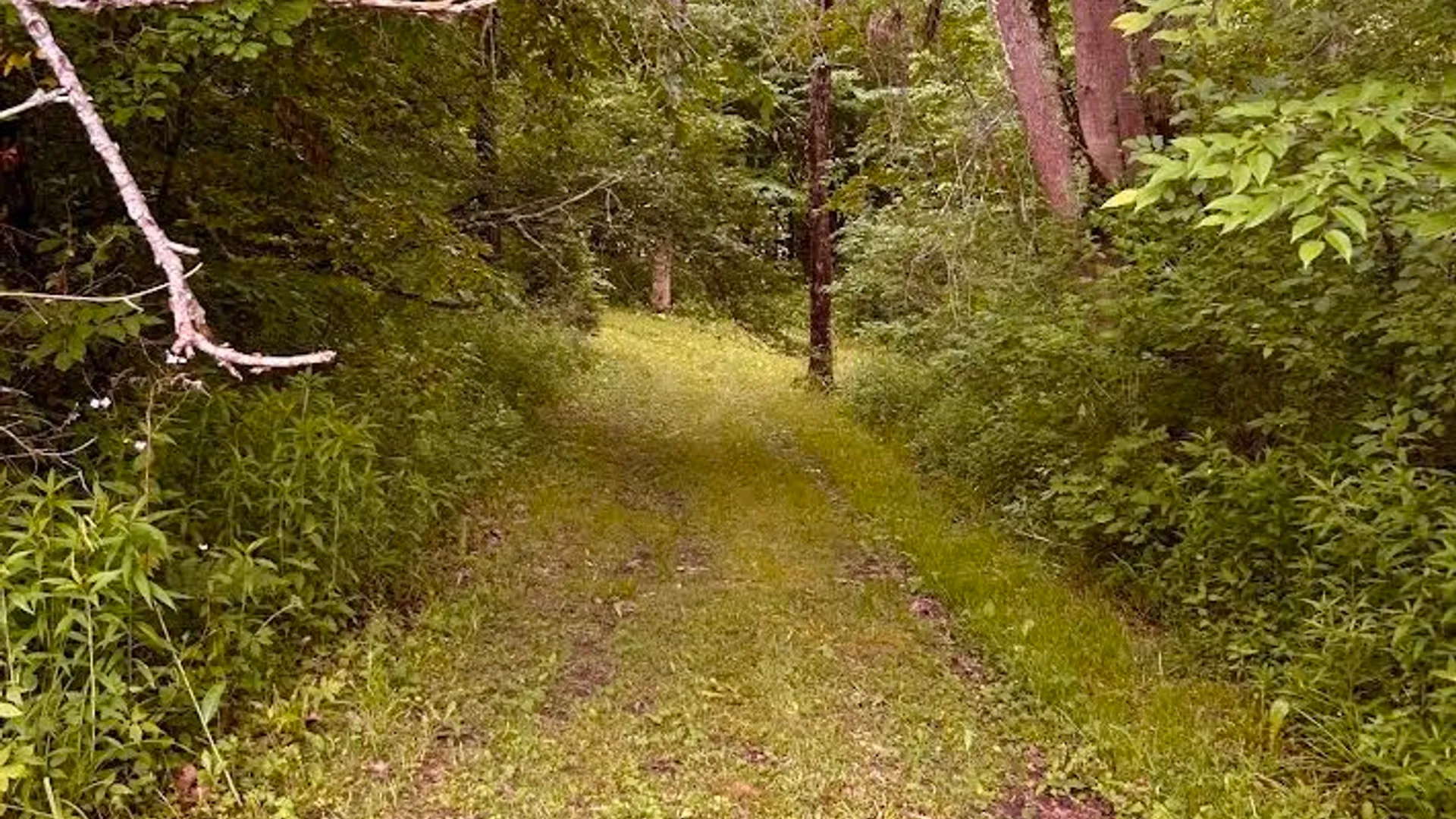 Property at 611 State Highway 220, Smithville, NY 13801 21