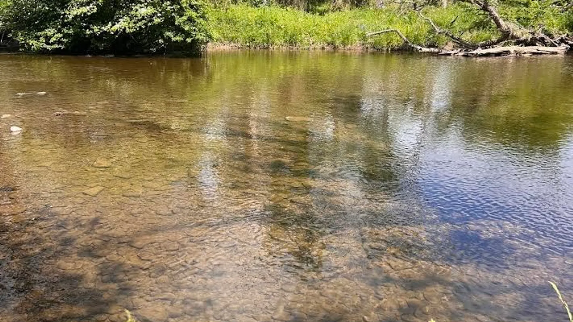 Property at 611 State Highway 220, Smithville, NY 13801 25