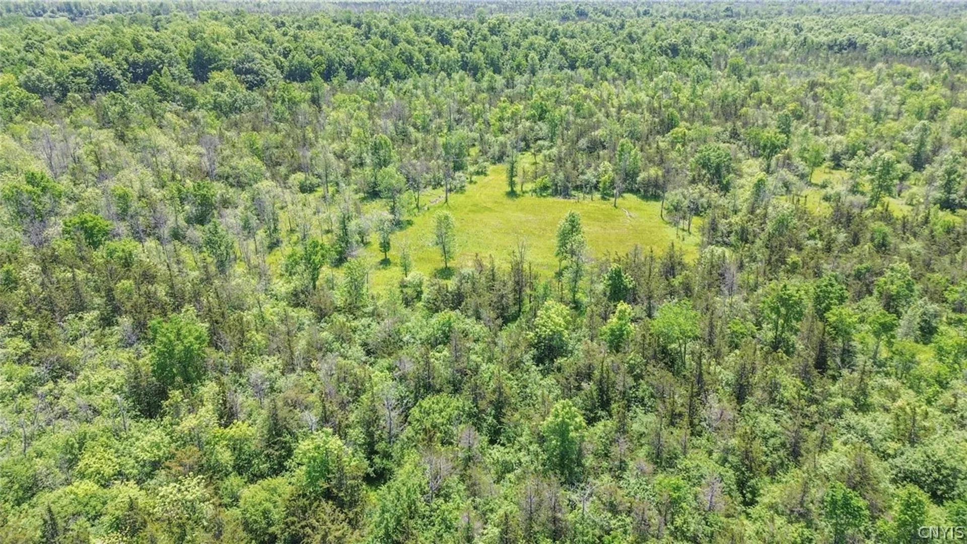 Property at 0 Middle Road, Brownville, NY 13634 8