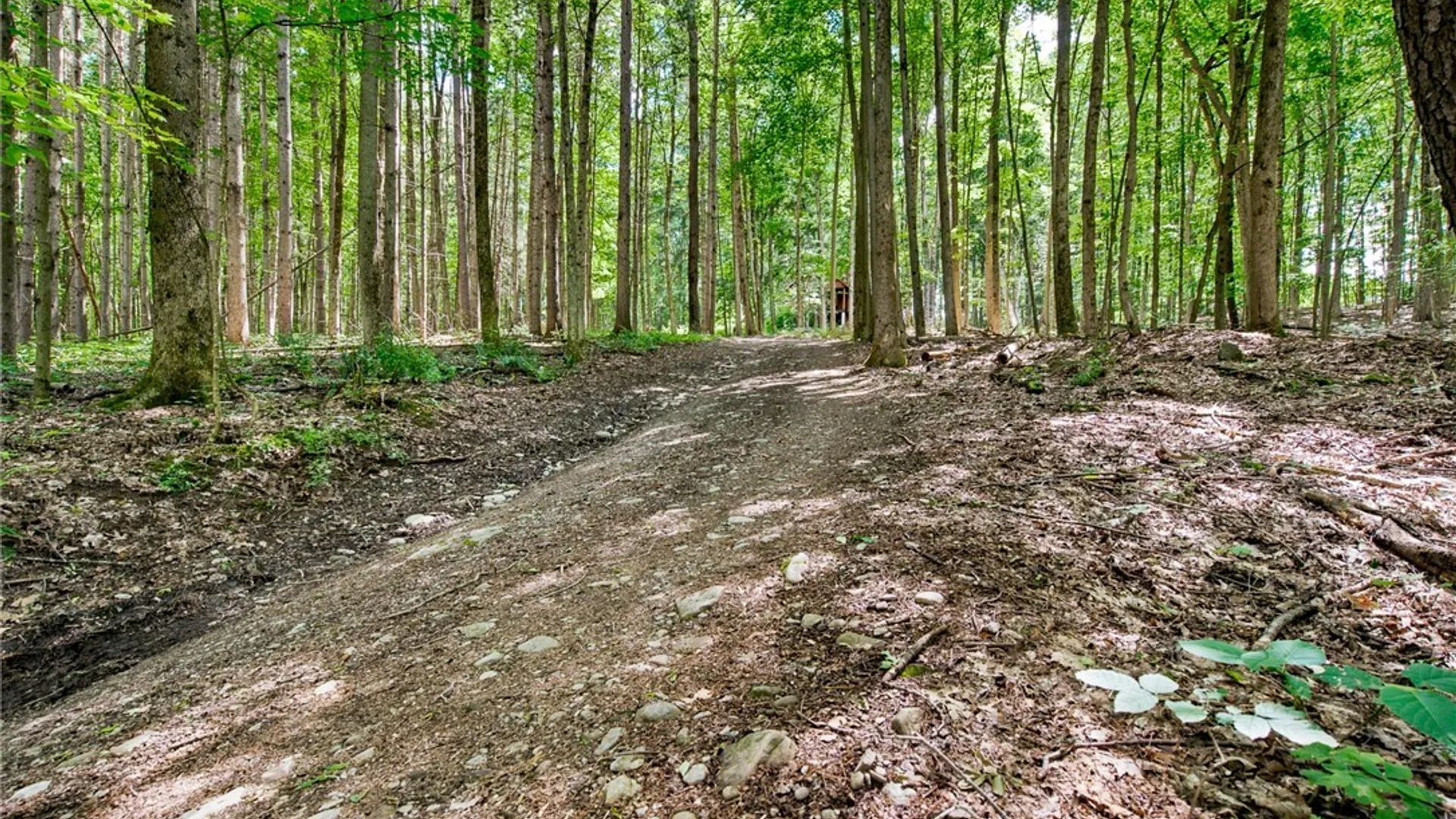 Property at 25 Fire Lane 12, Moravia, NY 13118 33