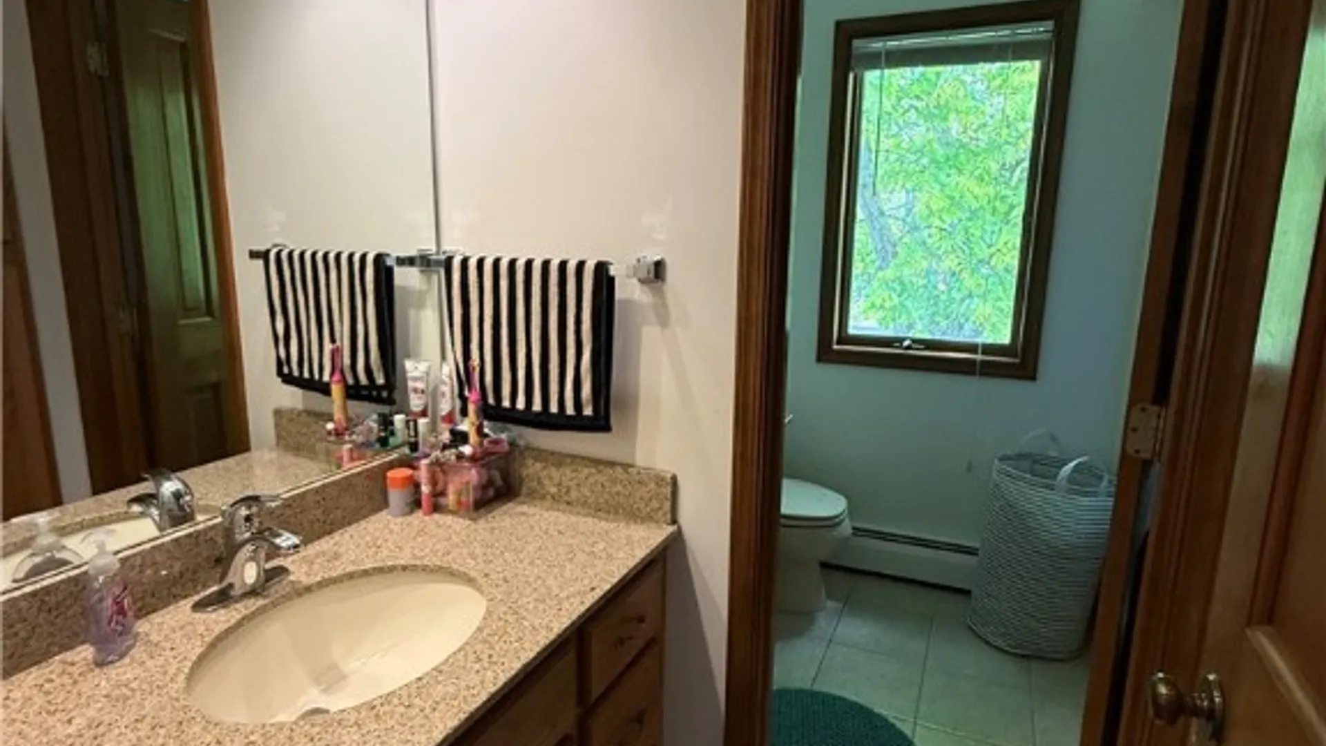 Property at 1 Alessandro Drive, Lansing, NY 14850 12