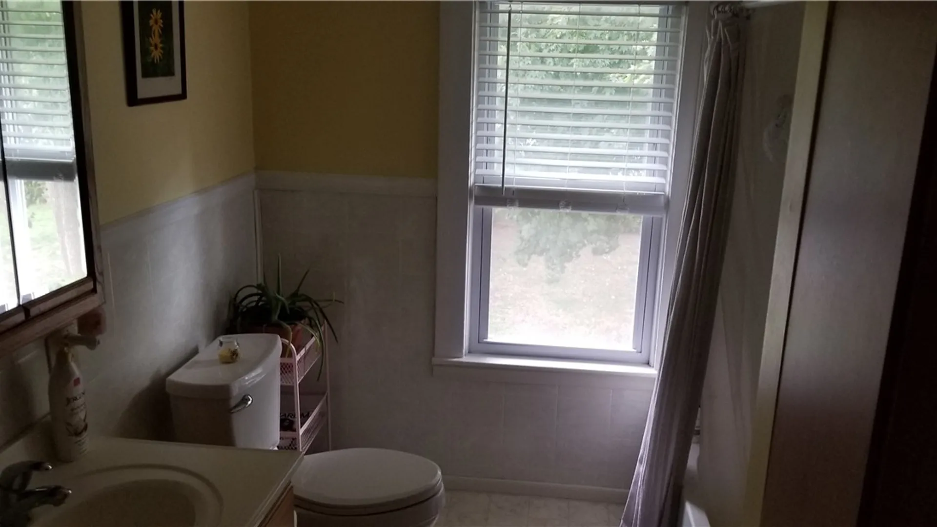 Property at 127 W 8th Street, Elmira, NY 14903 5