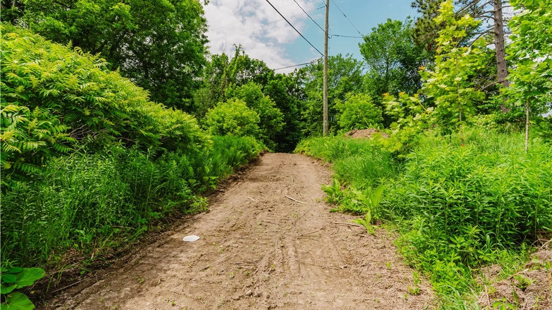 Property at County Route 22, Antwerp, NY 13691 3