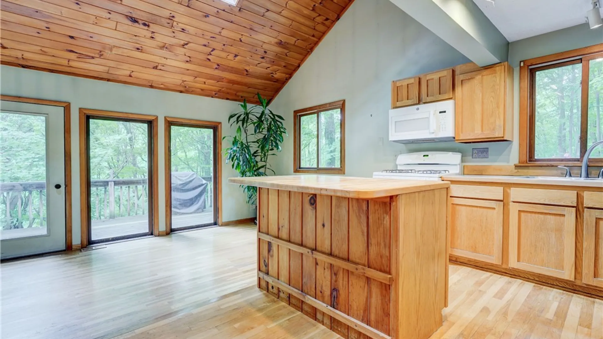 Property at 2880 Arcadia Zurich Norris Road, Arcadia, NY 14513 13