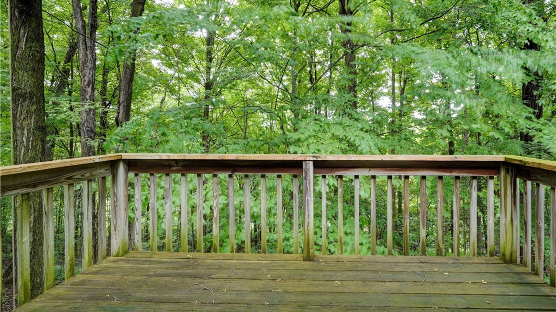Property at 2880 Arcadia Zurich Norris Road, Arcadia, NY 14513 28