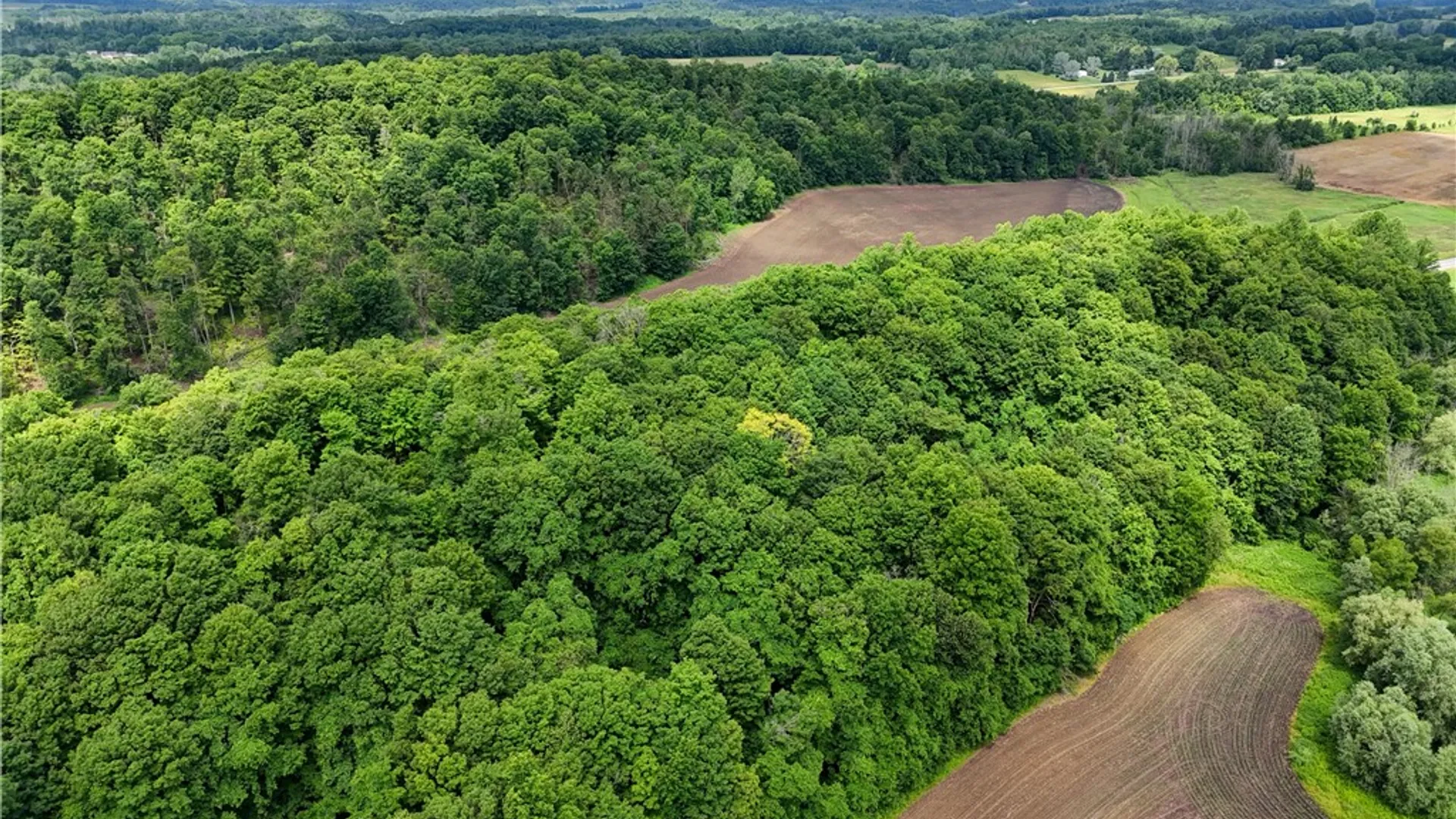 Property at 2880 Arcadia Zurich Norris Road, Arcadia, NY 14513 40
