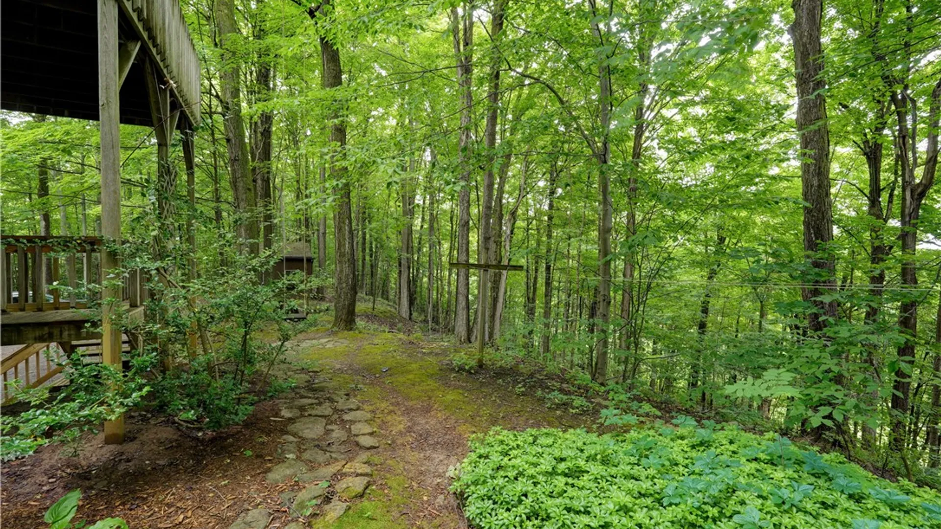 Property at 2880 Arcadia Zurich Norris Road, Arcadia, NY 14513 33