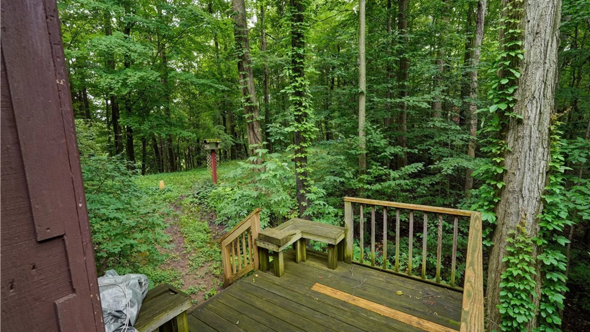 Property at 2880 Arcadia Zurich Norris Road, Arcadia, NY 14513 34
