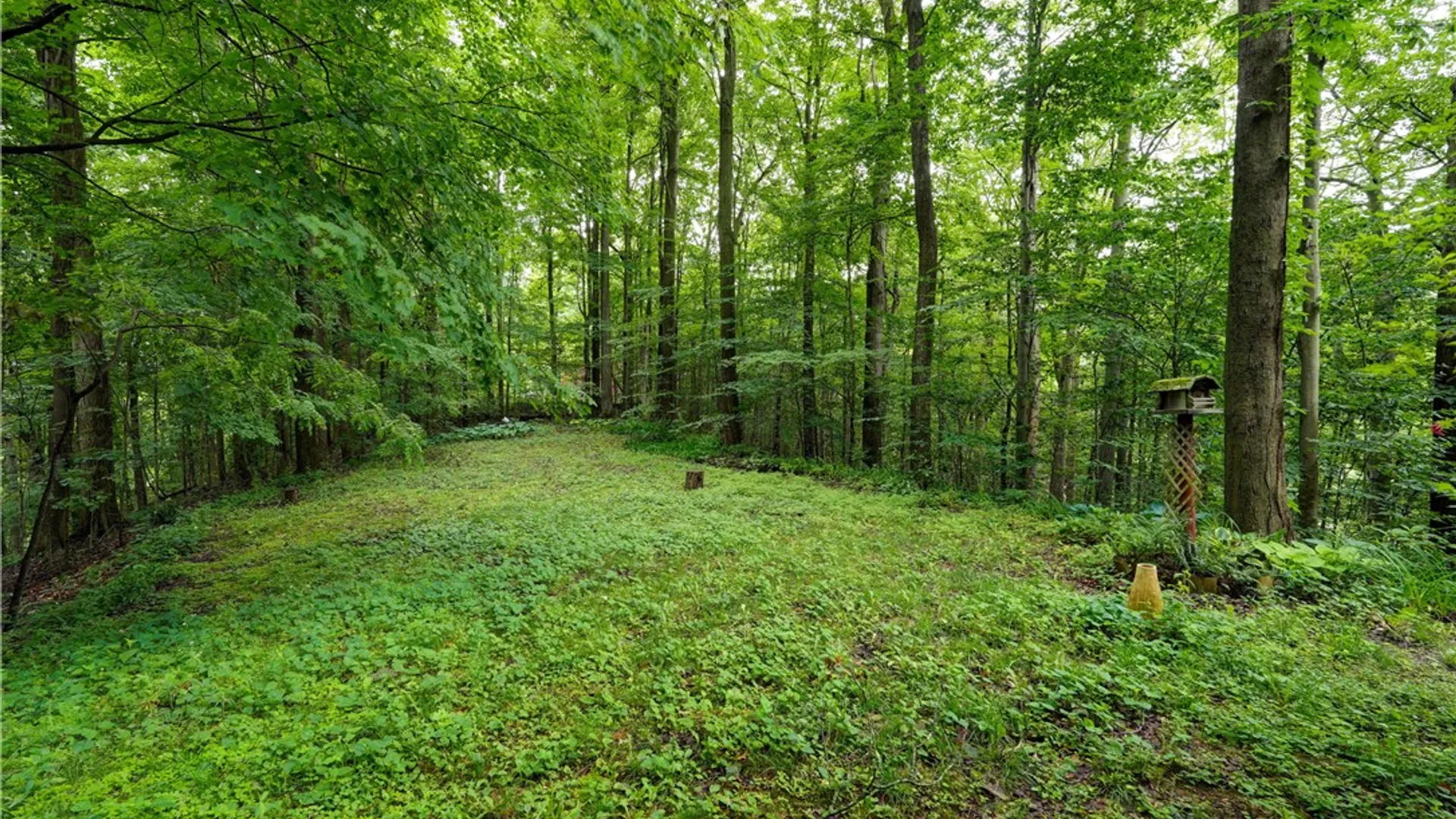Property at 2880 Arcadia Zurich Norris Road, Arcadia, NY 14513 35