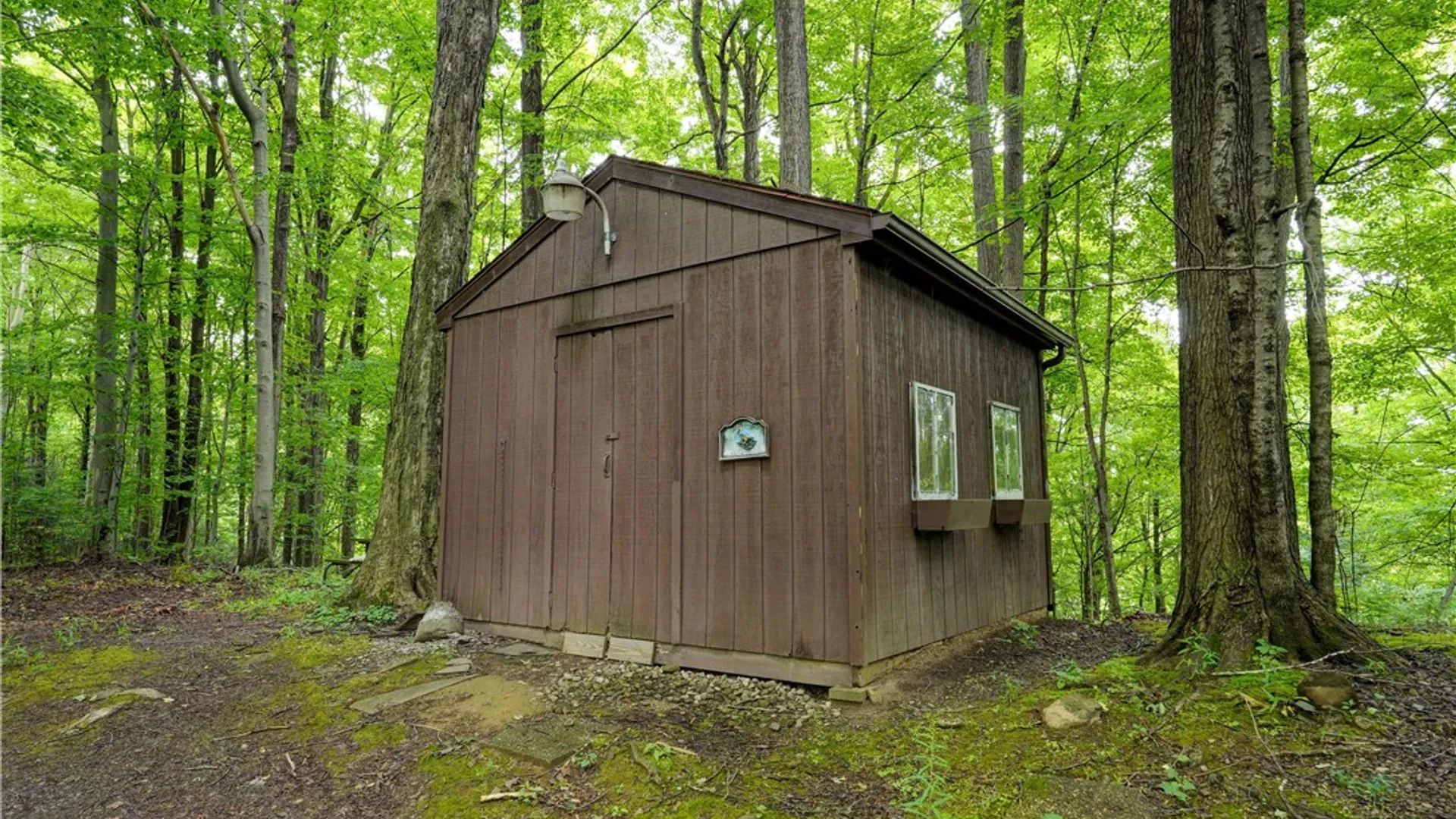 Property at 2880 Arcadia Zurich Norris Road, Arcadia, NY 14513 37