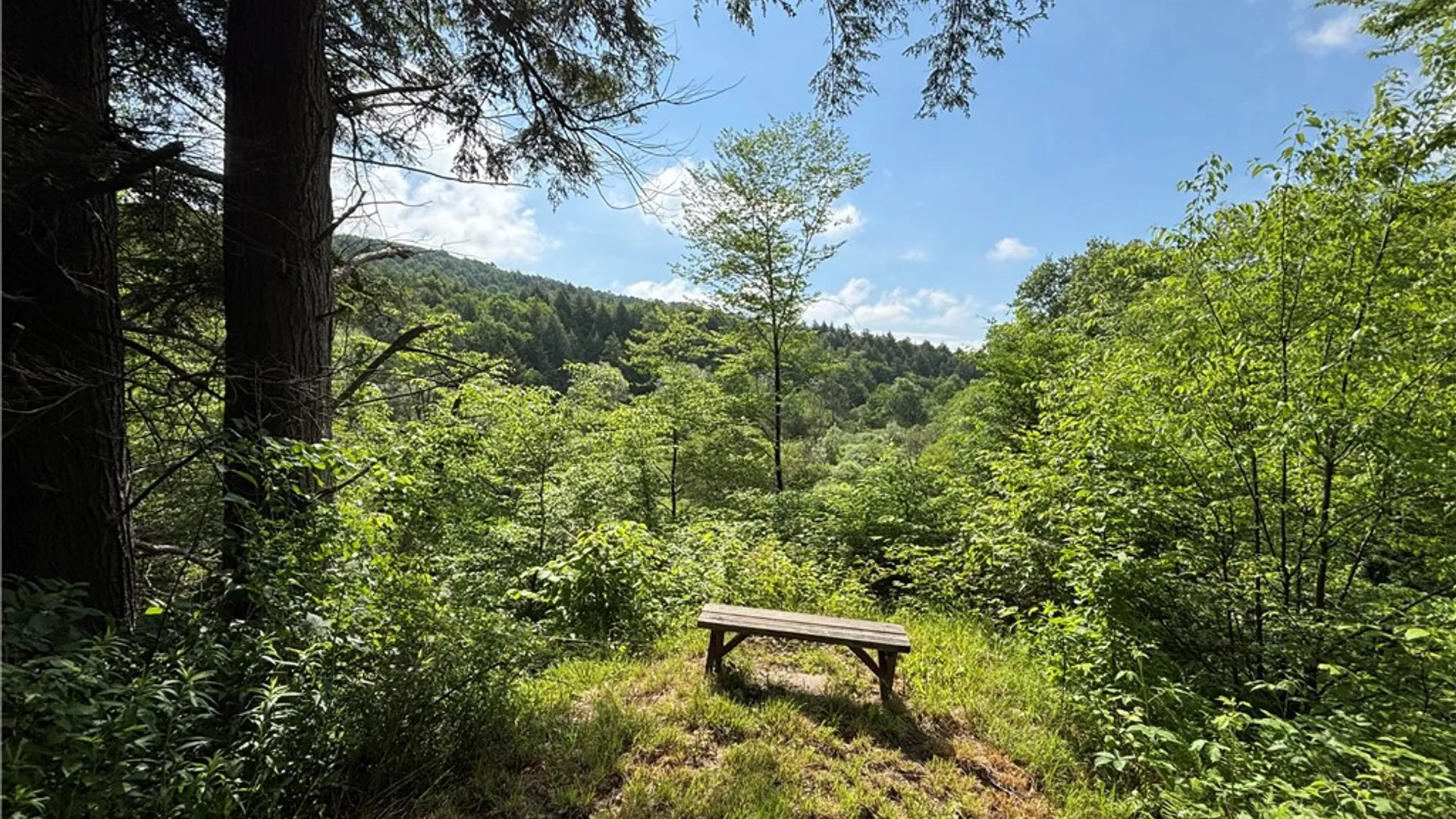 Property at Lot #4.233 County Road 13, Otselic, NY 13072 5