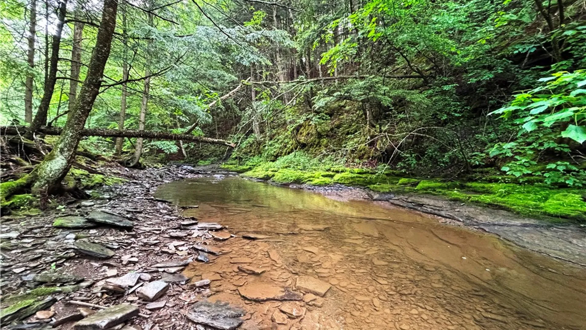 Property at Lot #4.233 County Road 13, Otselic, NY 13072 8