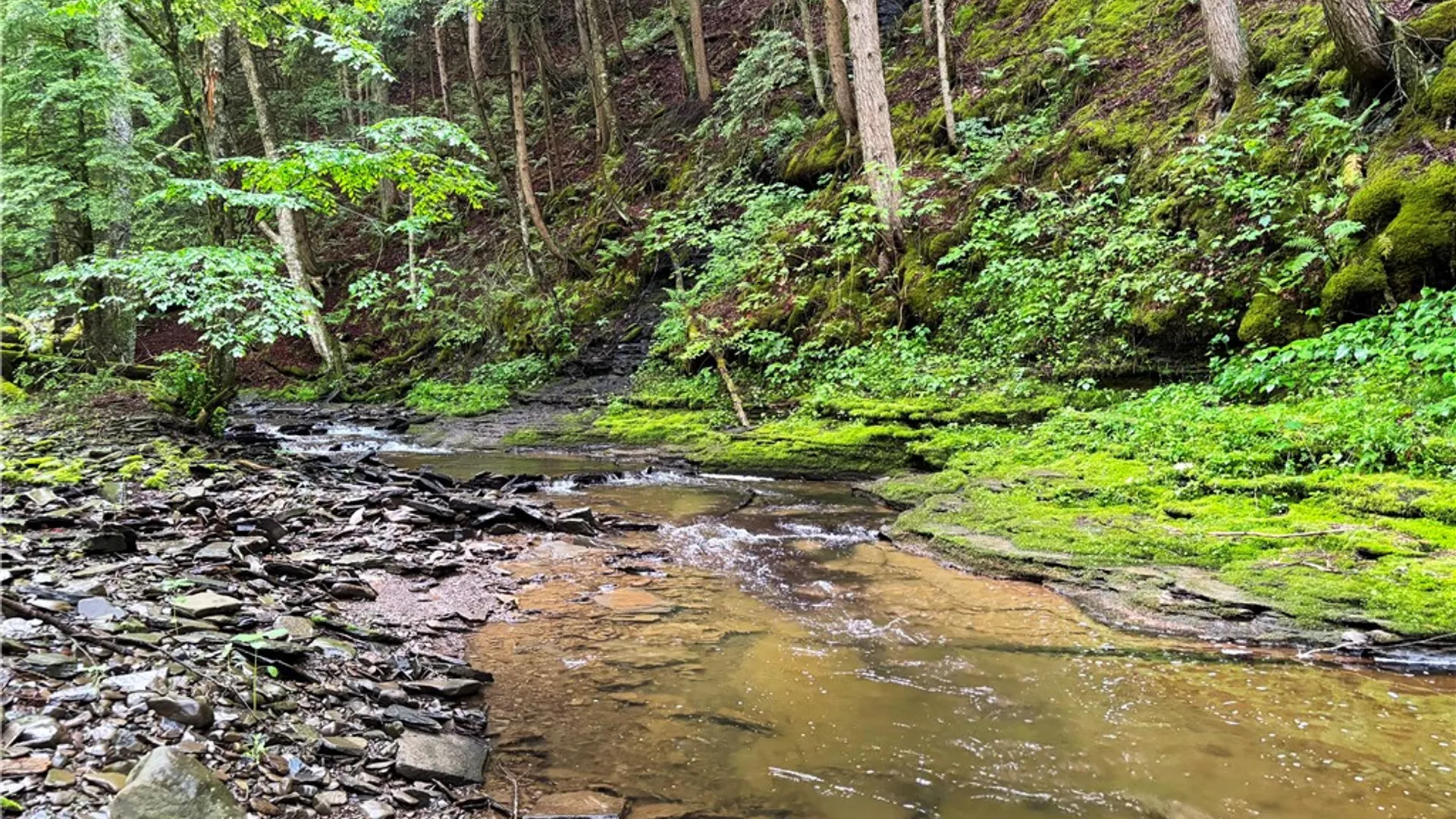 Property at Lot #4.233 County Road 13, Otselic, NY 13072 9