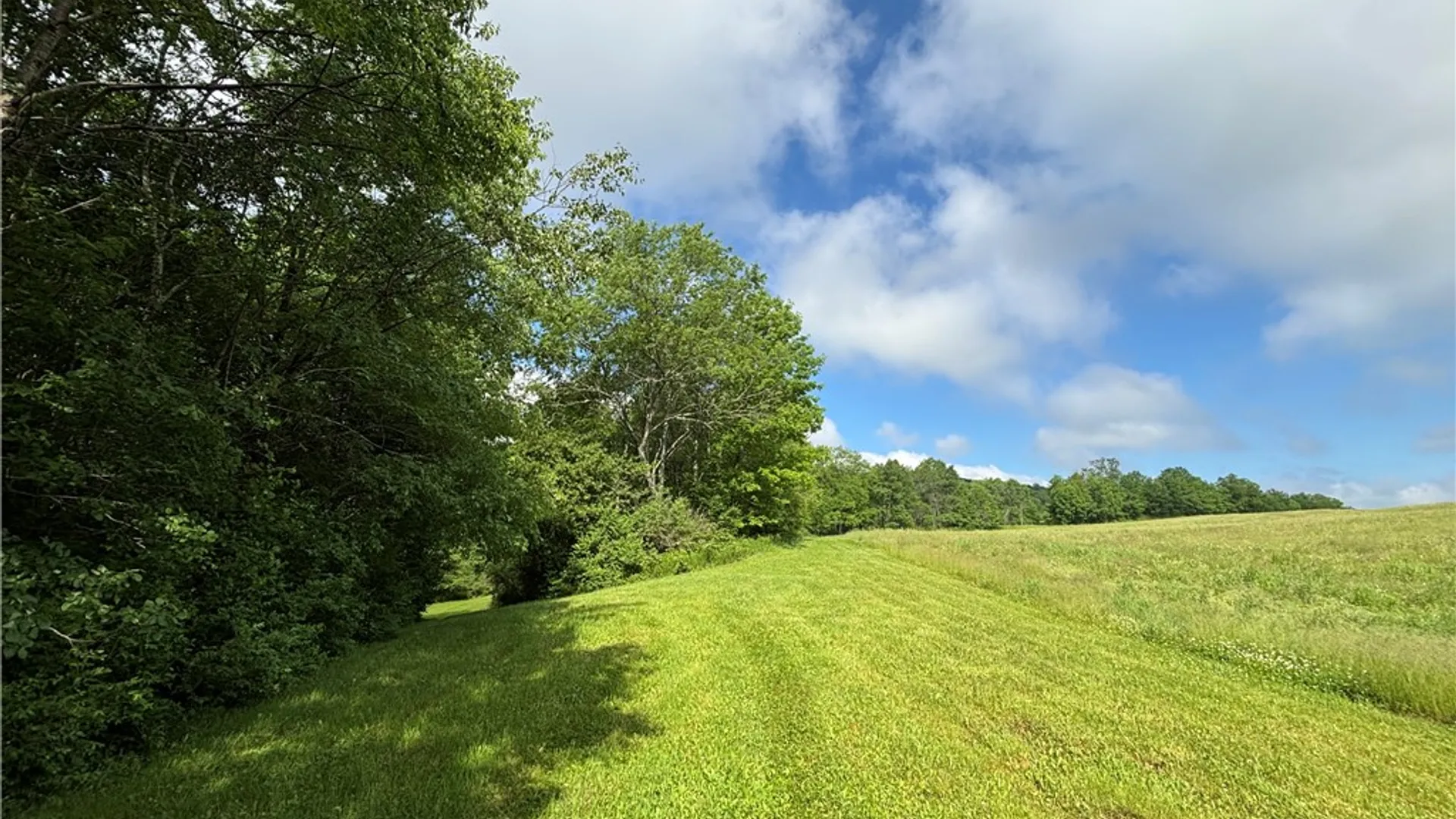 Property at Lot #4.233 County Road 13, Otselic, NY 13072 10