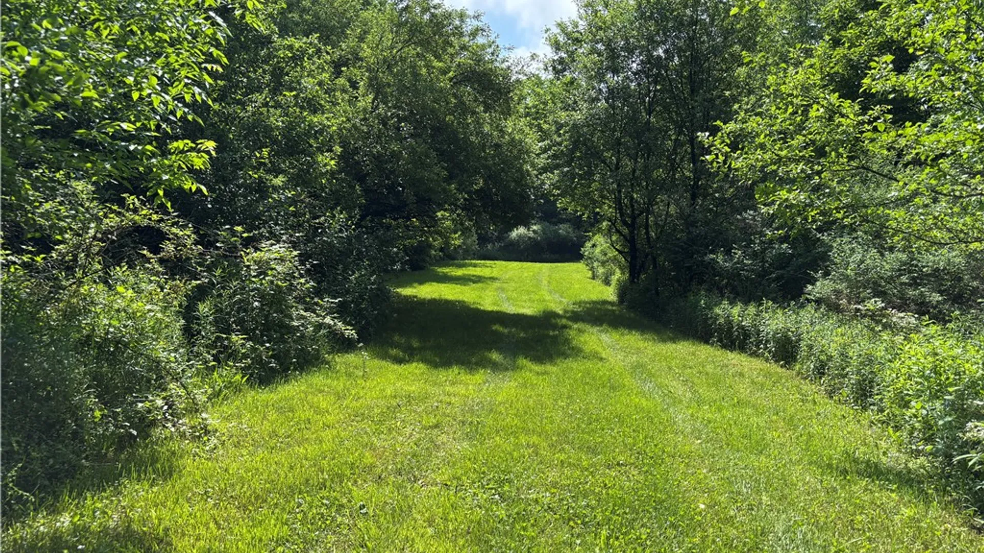 Property at Lot #4.233 County Road 13, Otselic, NY 13072 11
