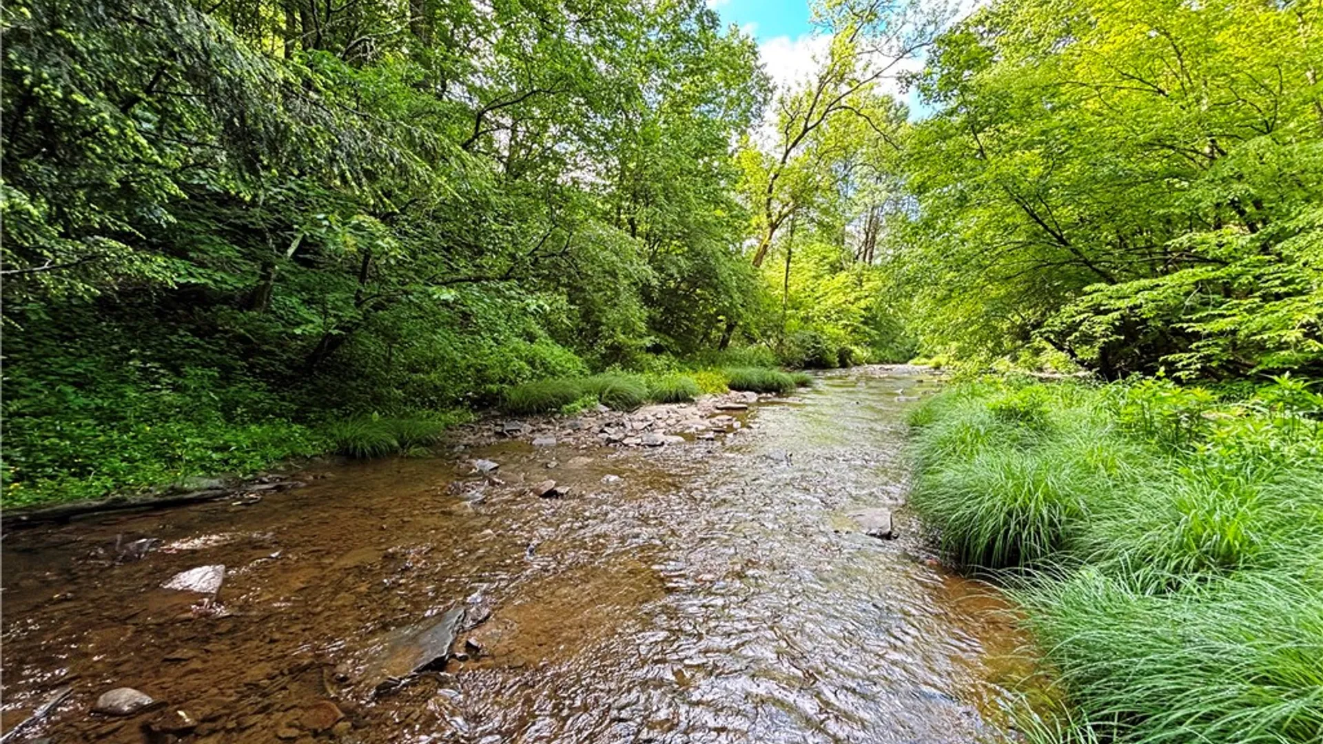 Property at Lot #4.233 County Road 13, Otselic, NY 13072 12