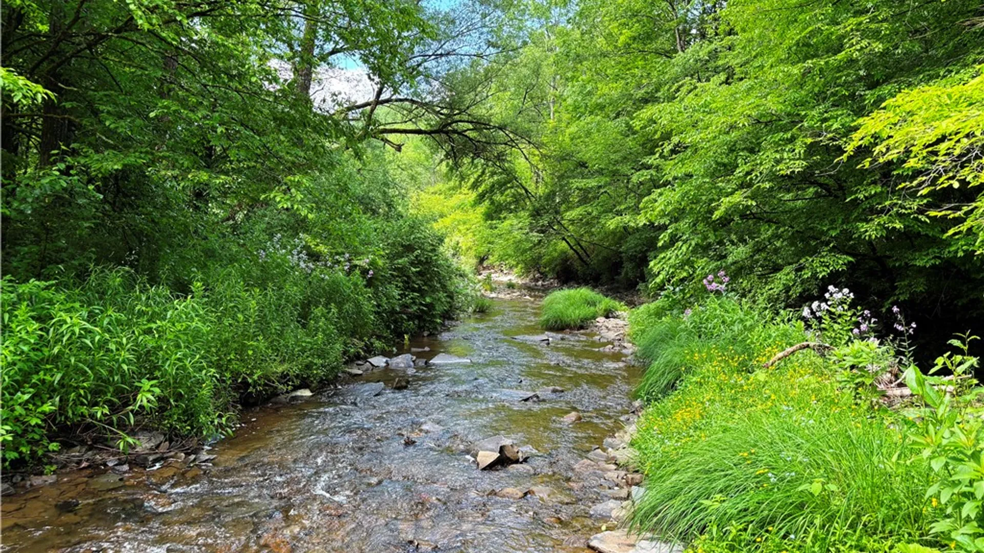 Property at Lot #4.233 County Road 13, Otselic, NY 13072 13