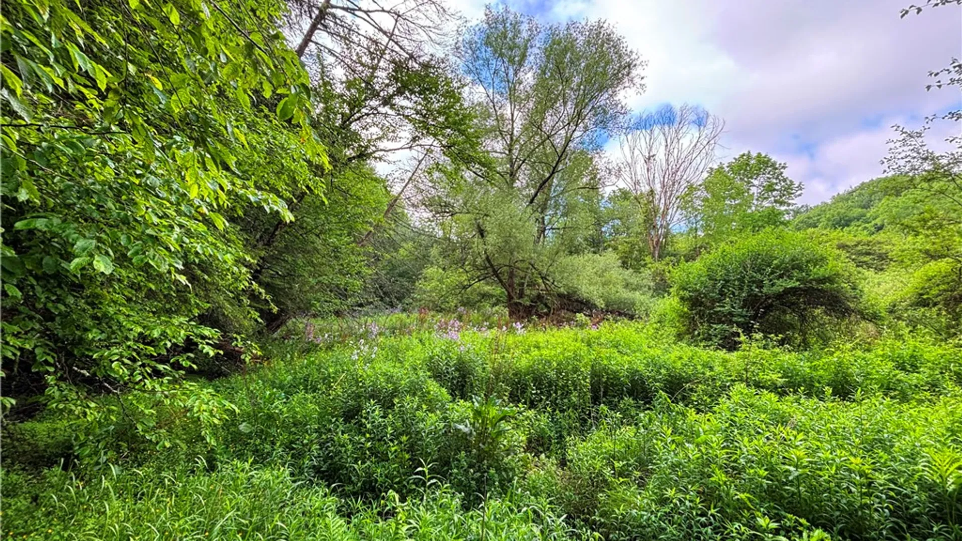 Property at Lot #4.233 County Road 13, Otselic, NY 13072 33
