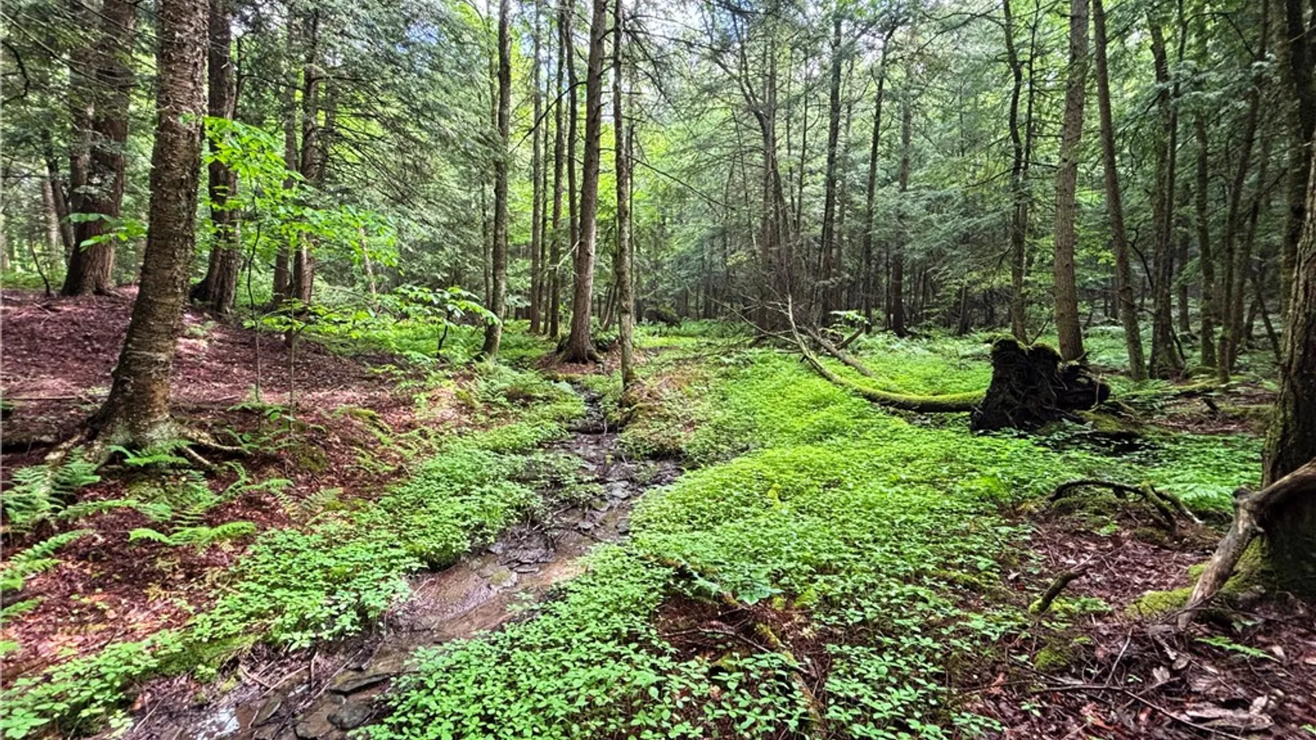 Property at Lot #4.233 County Road 13, Otselic, NY 13072 36