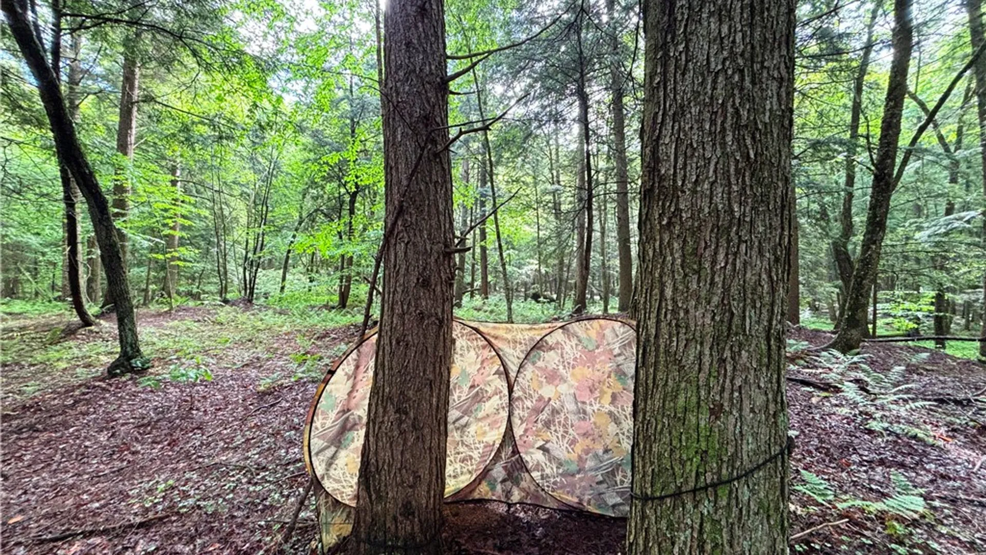 Property at Lot #4.233 County Road 13, Otselic, NY 13072 37
