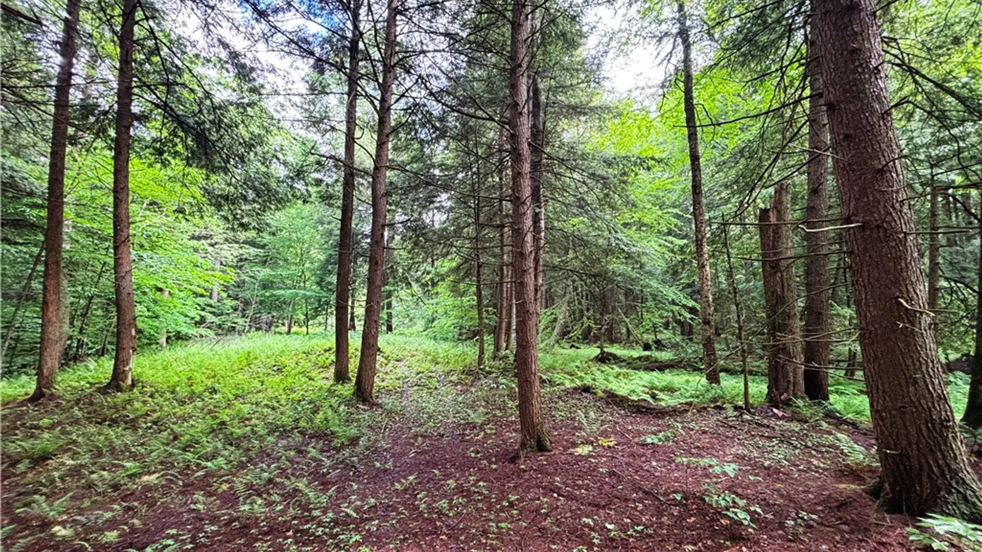 Property at Lot #4.233 County Road 13, Otselic, NY 13072 38