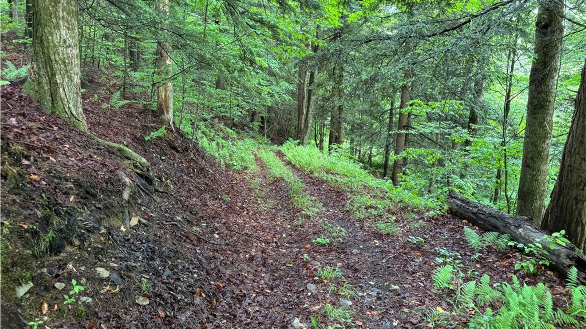 Property at Lot #4.233 County Road 13, Otselic, NY 13072 39