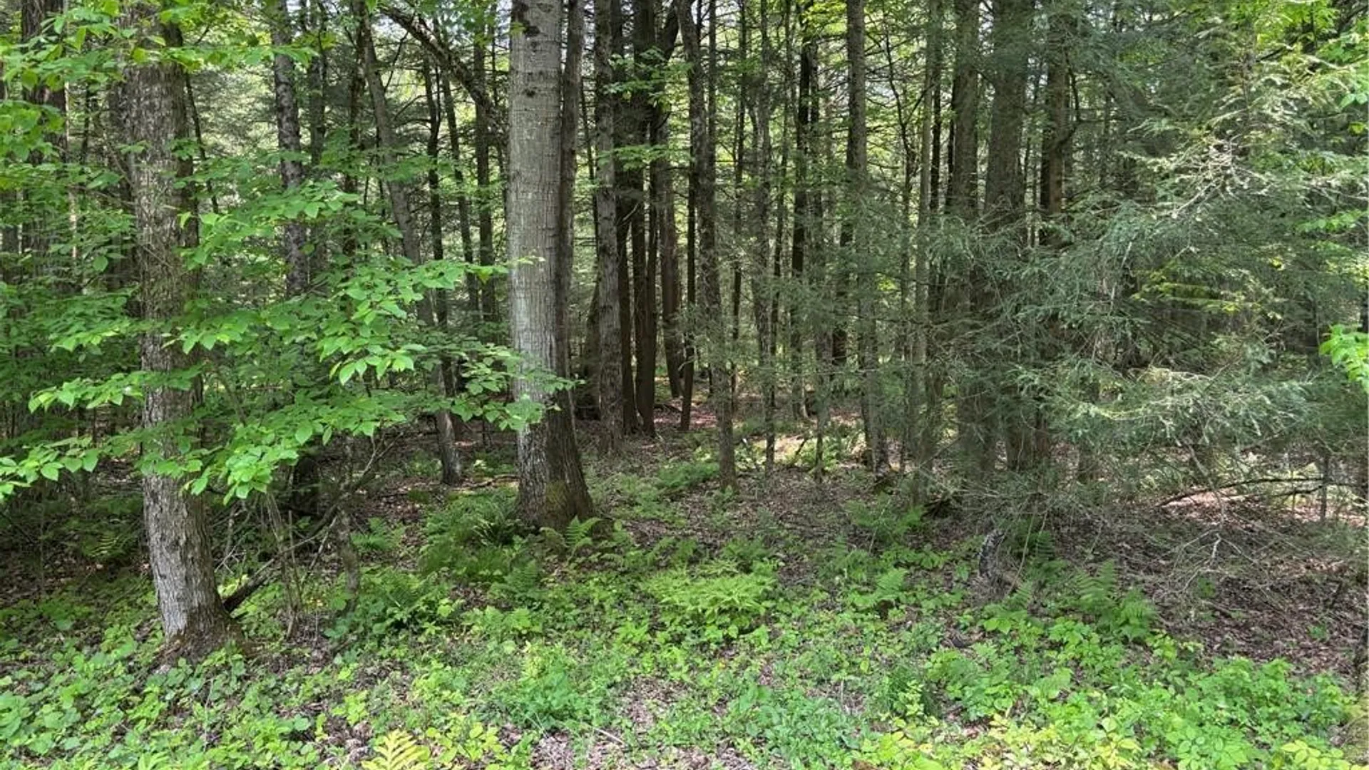 Property at Spring Road, Ossian, NY 14437 4