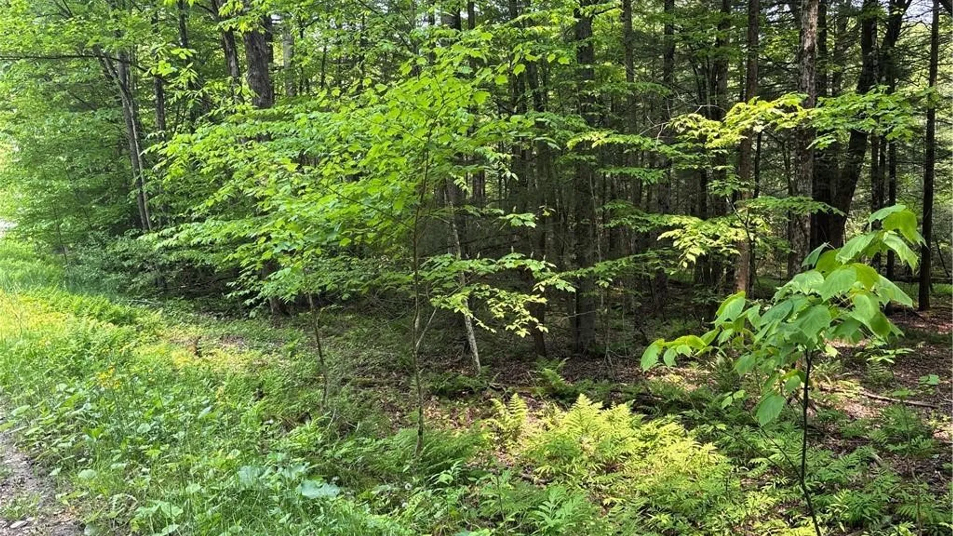 Property at Spring Road, Ossian, NY 14437 6