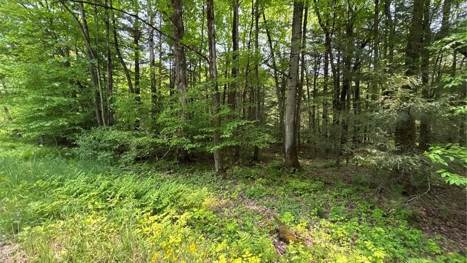 Property at Spring Road, Ossian, NY 14437 9